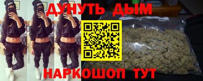 прущие грибы Славгород