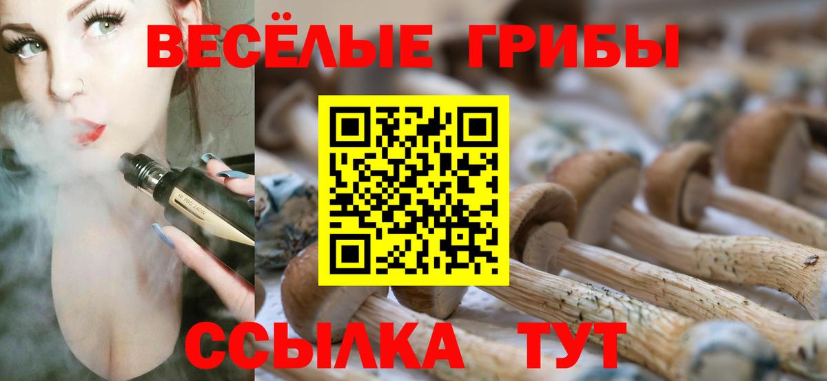 Галлюциногенные грибы Psilocybe Мелеуз